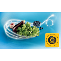 Холодильник Whirlpool WHK26402XP4U