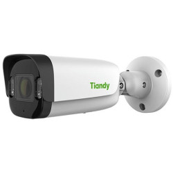 Камера IP Tiandy TC-C38US