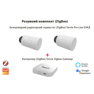 Комплект Tervix Pro Line EVA2 (2 шт.) + контроллер Tervix ZigBee Gateway image